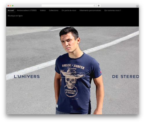 Theme WordPress Arcade Basic - univers-stered.com