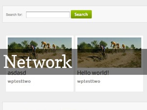 Theme WordPress Network Theme WordPress Network
