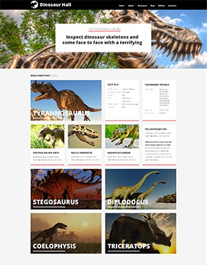 theme47710 theme WordPress
