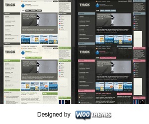 THiCK theme WordPress