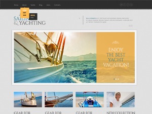 WordPress website theme theme46019 WordPress website theme theme46019