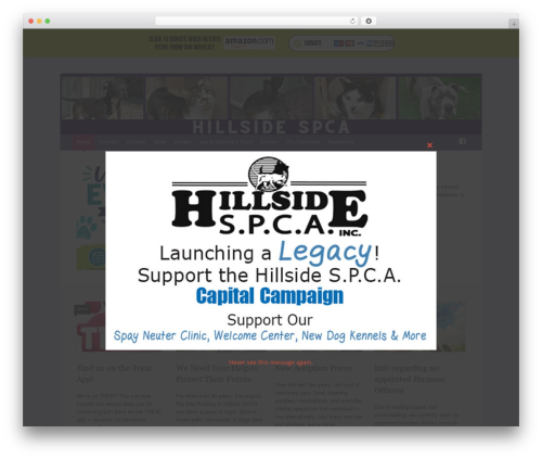 Expound WordPress theme - hillsidespca.com