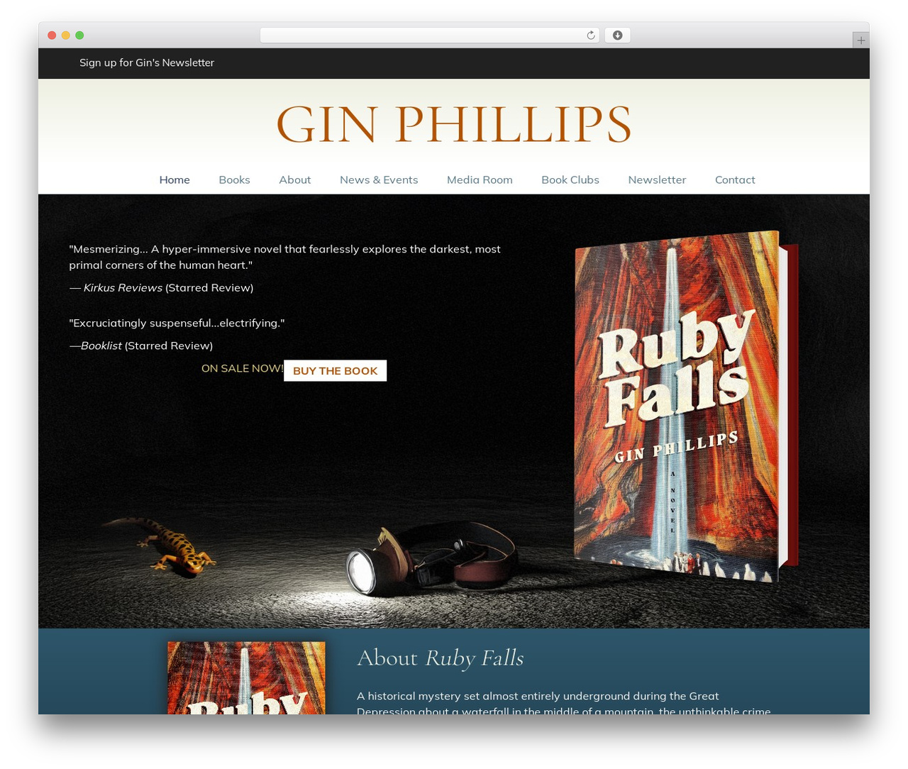 Theme WordPress Beaver Builder Theme - ginphillips.com