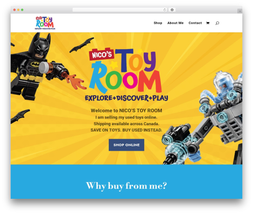 Divi WordPress website theme - nicostoyroom.com