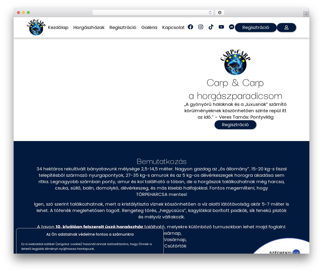 Hello Elementor best WordPress theme - carp-carp.hu Hello Elementor best WordPress theme - carp-carp.hu