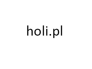Holi.pl theme WordPress Holi.pl theme WordPress