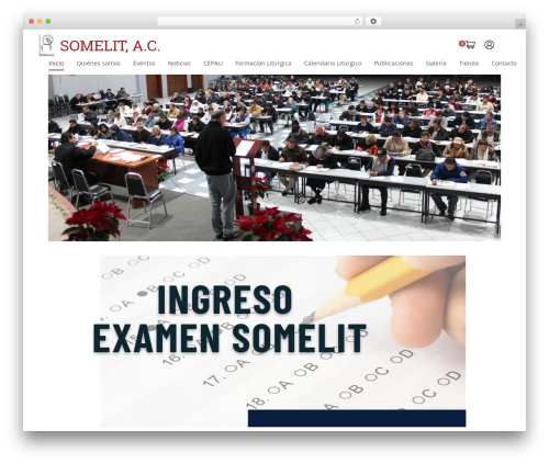 Tt plugin WordPress plugin - somelit.org