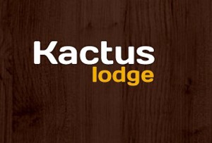 Theme WordPress Kactus by We studio