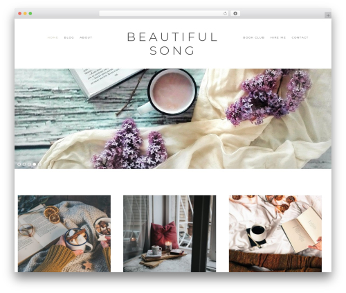 Social Rocket – Social Sharing Plugin (social-rocket) free WordPress plugin - beautifulsong.com
