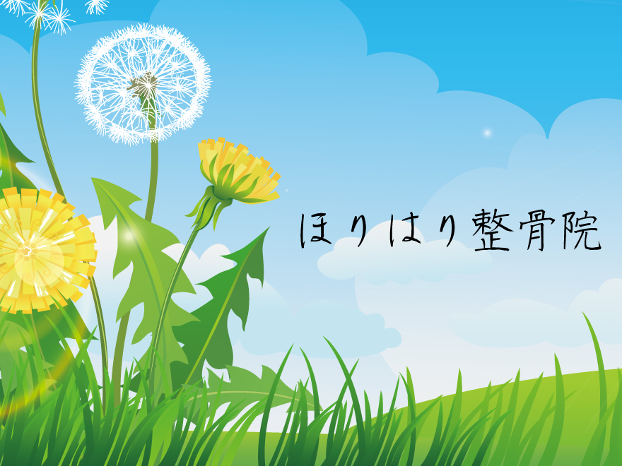WordPress theme ほりはり整骨院 by CrescentWorks.inc