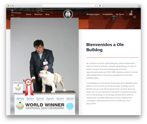 Ave core WordPress plugin - olebulldog.com