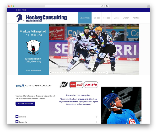Wpbits addons for elementor pro WordPress plugin - hockeyconsulting.no