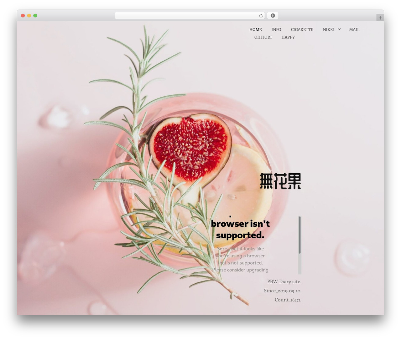 Write WordPress website theme - figue.xyz