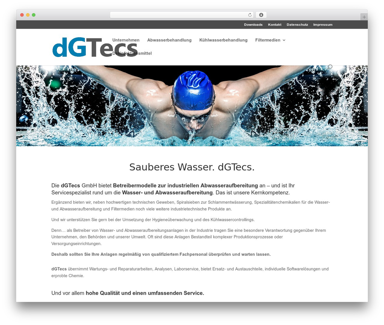 Divi Child WordPress theme - dgtecs.de Divi Child WordPress theme - dgtecs.de