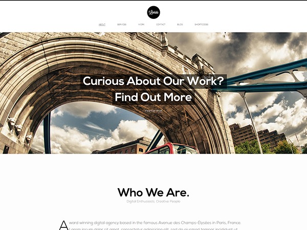 Leviate (shared on wplocker.com) WordPress theme by nagaemas 