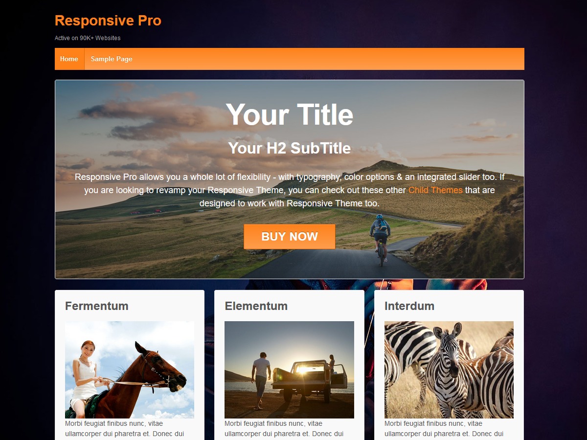 Responsive Pro Child (SFF) WordPress store theme