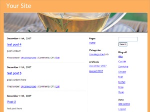 Wordpress Theme top WordPress theme Wordpress Theme top WordPress theme