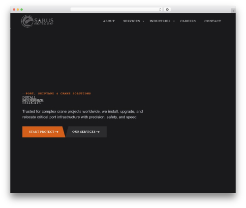 WP Tailwind CSS Theme Boilerplate best WordPress theme - sarusig.com