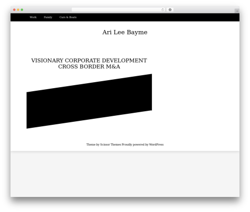 Writee WordPress theme - arileebayme.com