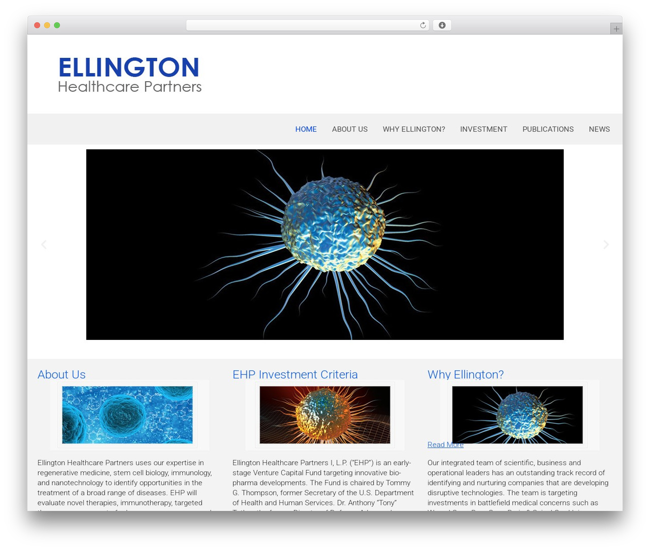 Best WordPress theme Custom Theme - ellingtonhealthcarepartners.com