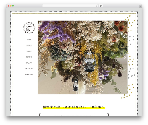 Template-D WordPress theme - hair-trance.com