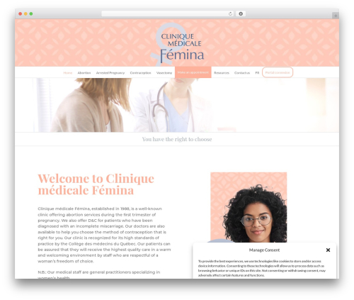 Simple elegant addons WordPress plugin - clinique-femina.com