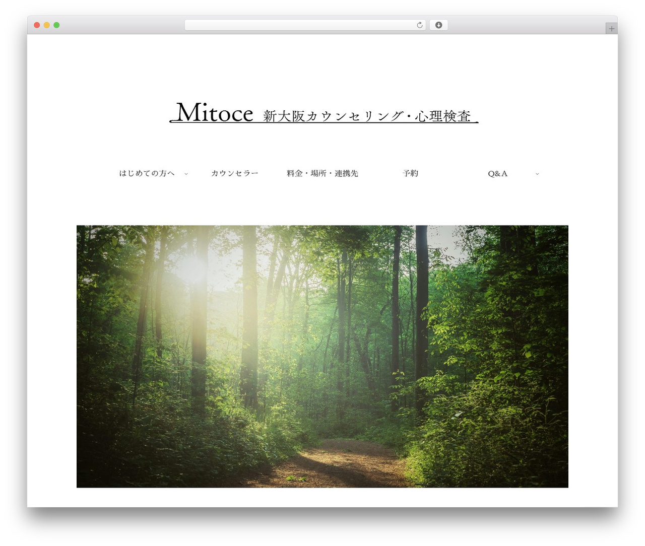 Cocoon WordPress theme - mitoce.net Cocoon WordPress theme - mitoce.net