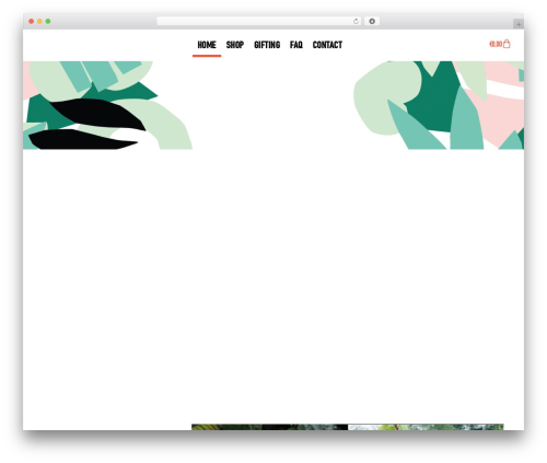 Disco WordPress plugin - fatforest.com