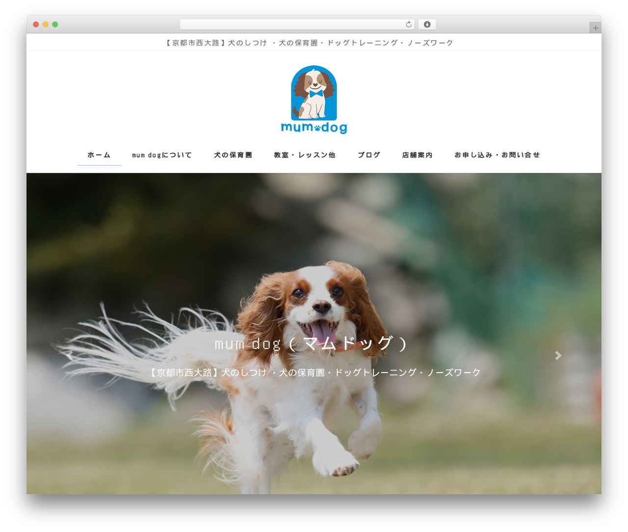 Lightning Pro WordPress theme - mumdog-kyoto.com Lightning Pro WordPress theme - mumdog-kyoto.com