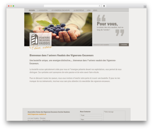 Bootstrap Basic theme free download - vignerons-vaudois.ch