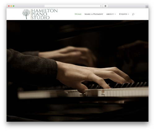 Share one drive WordPress plugin - hamiltonpianostudio.com