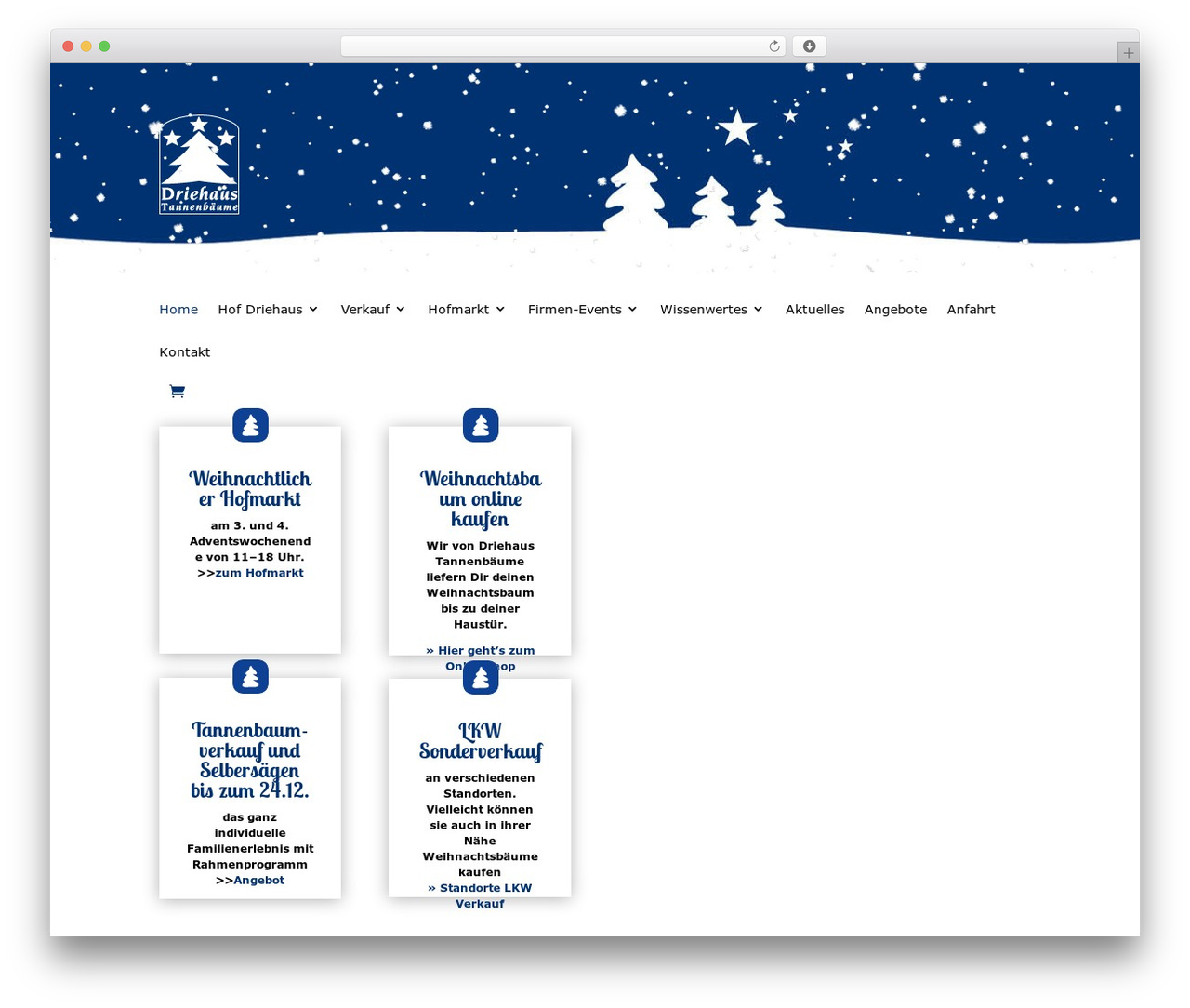Divi theme WordPress - driehaus-tannenbaeume.de Divi theme WordPress - driehaus-tannenbaeume.de