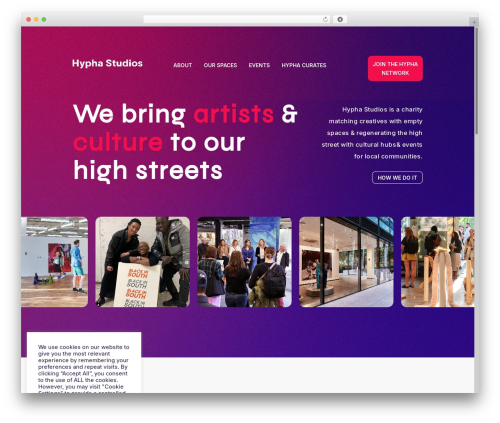 Divi mobile WordPress plugin - hyphastudios.com
