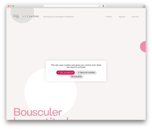 dnk_theme WordPress theme - axesaone.fr
