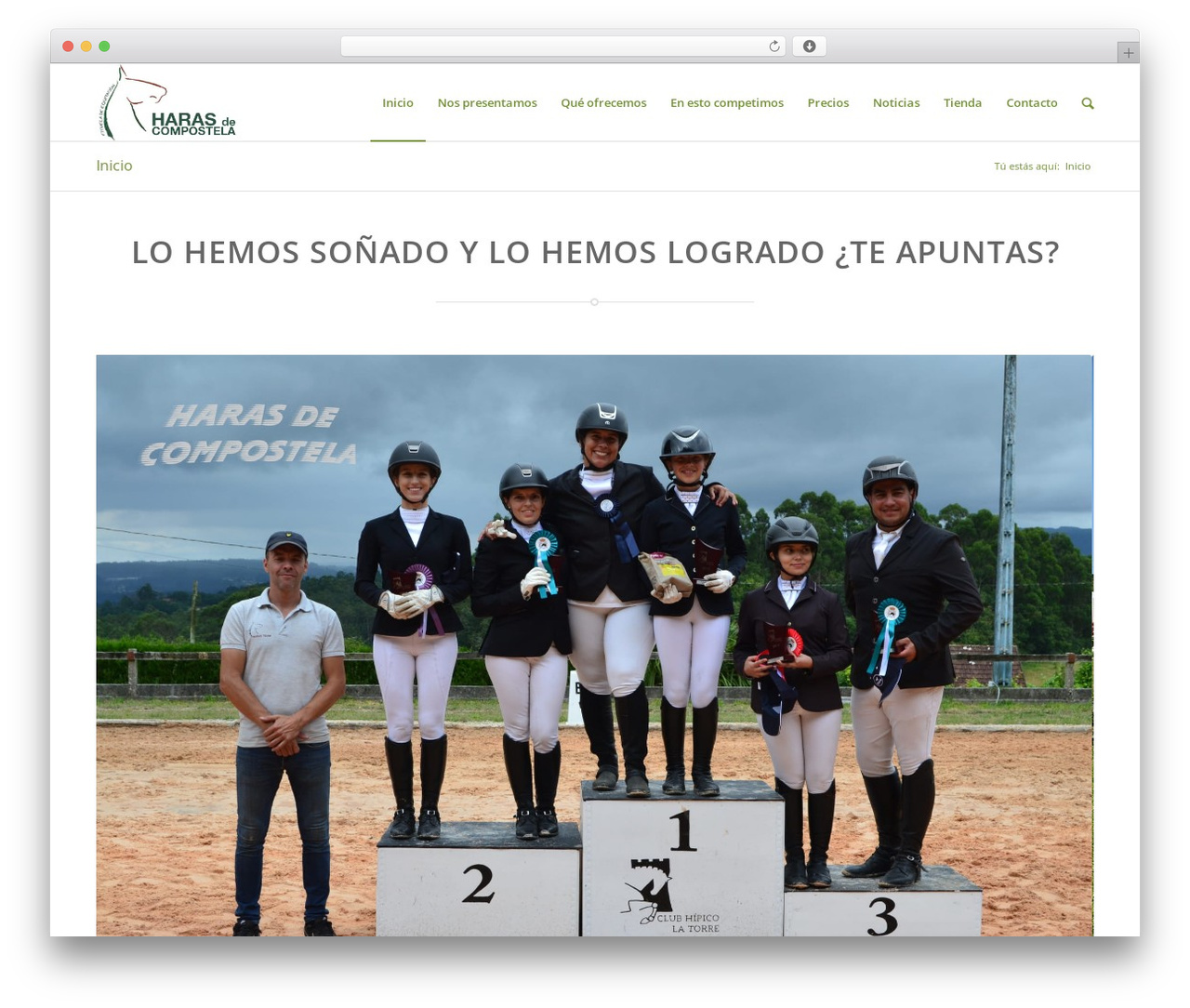 Enfold WordPress theme - harasdecompostela.com