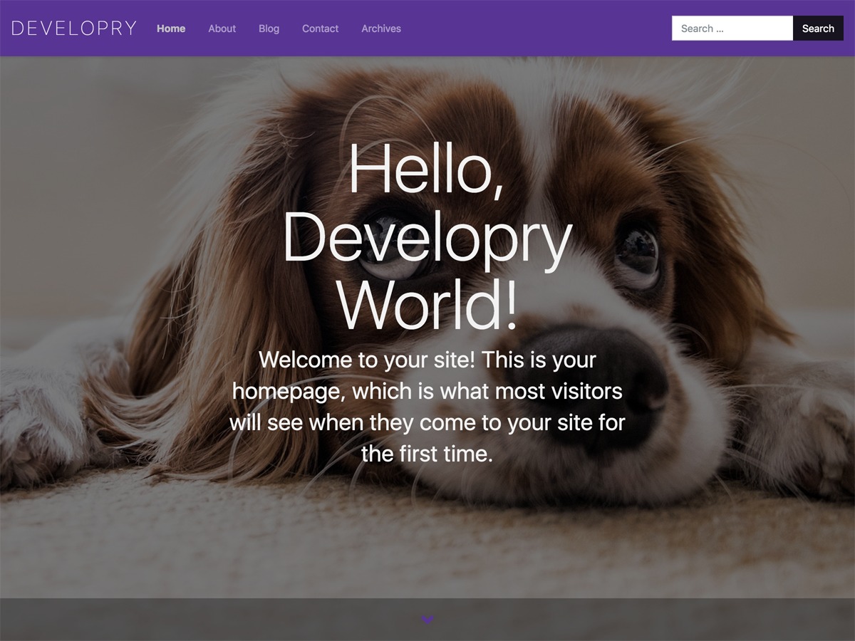 NTC Solution Theme theme WordPress by Krasen Slavov