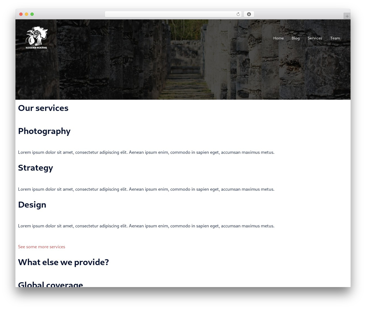 Rooster Hosting WordPress theme - roosterhosting.com Rooster Hosting WordPress theme - roosterhosting.com