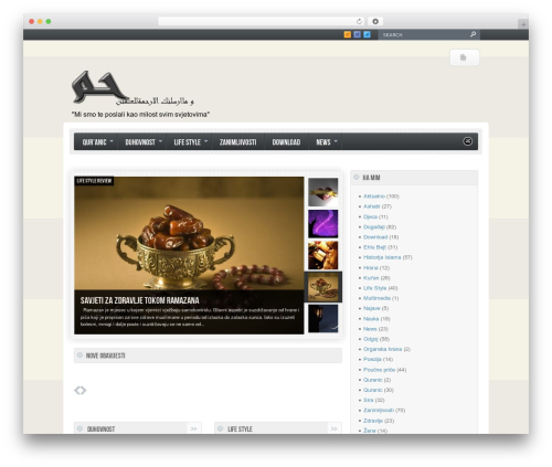 Swagger WordPress theme - ha-mim.net