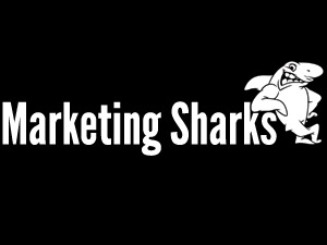 WordPress theme HansaNova by Marketing Sharks