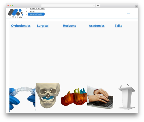 Max addons pro bricks WordPress plugin - meshlab3dstudio.com