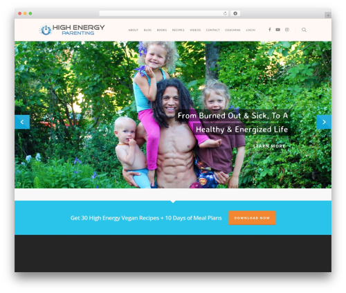 Twitget (twitget) free WordPress plugin - highenergyparenting.com