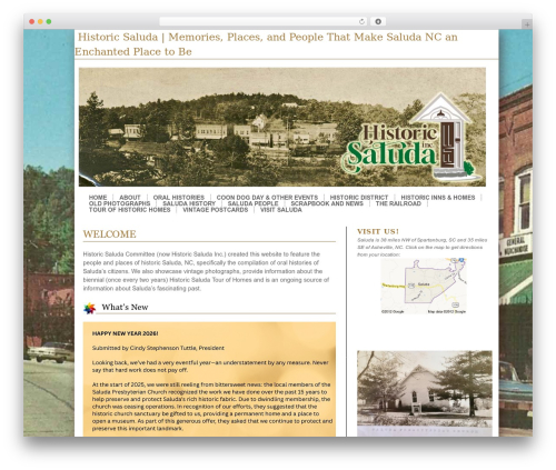 WordPress theme Modularity Lite - historicsaluda.org