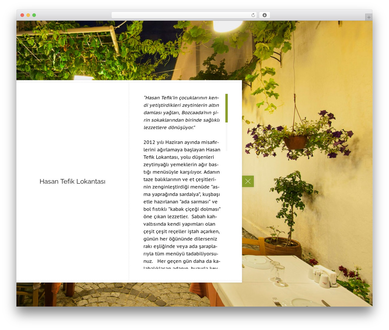 Amici best WordPress theme - hasantefik.com