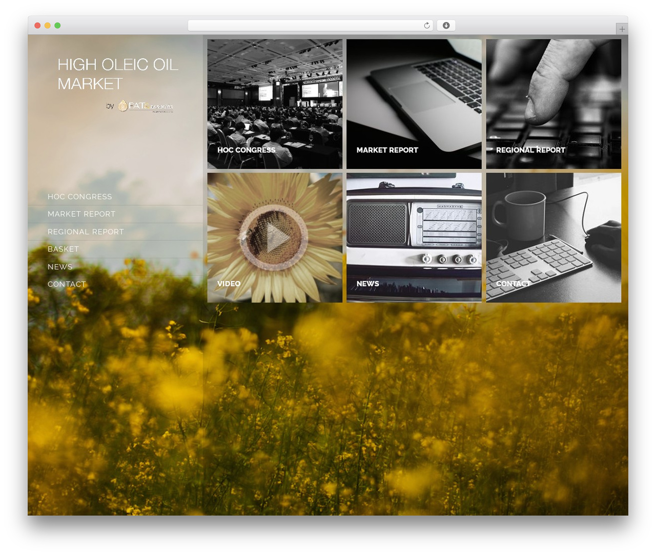 Gridcraft top WordPress theme - higholeicmarket.com