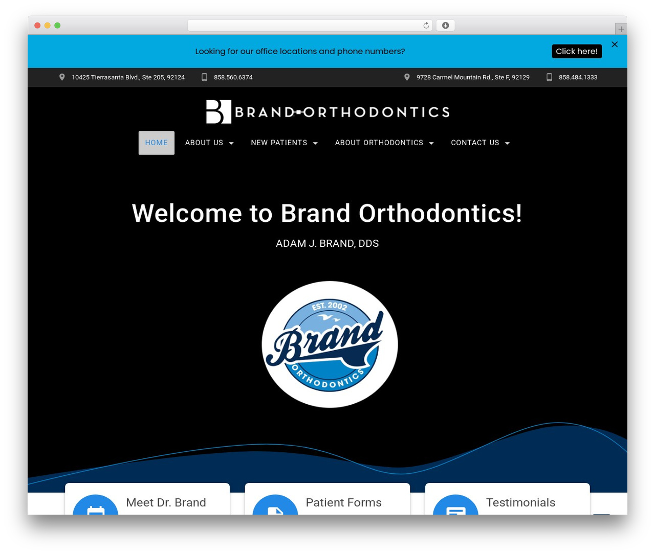 Materialis WordPress theme - brandorthodontics.com