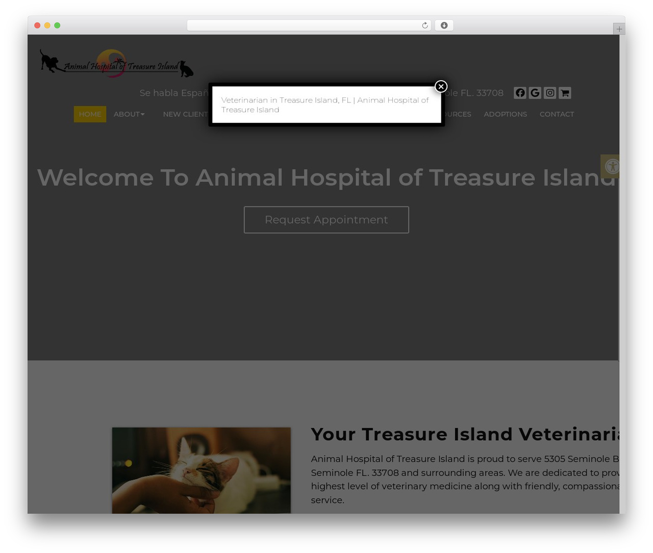 Parent Theme WordPress theme design - animalhospitalofti.com