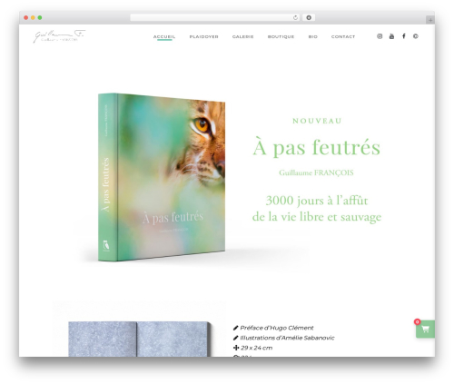 Theme WordPress Tempus - guillaumefrancois.com