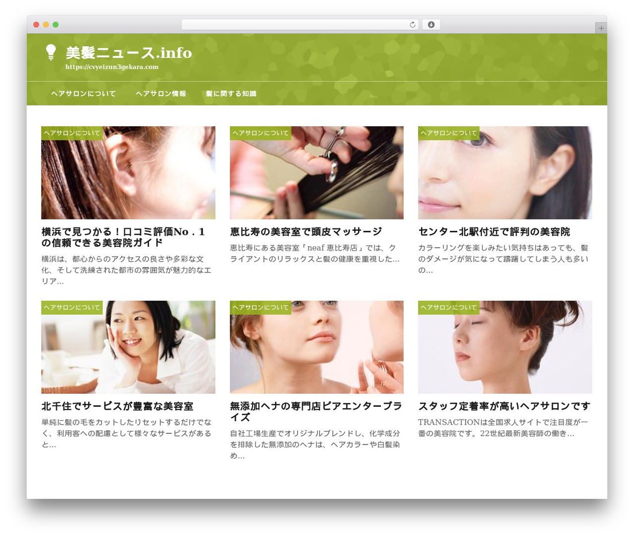 WordPress theme theme706 - cvyeizun3gekara.com