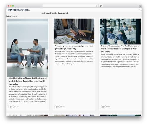 Chipmunk Theme theme WordPress - providerstrategy.com