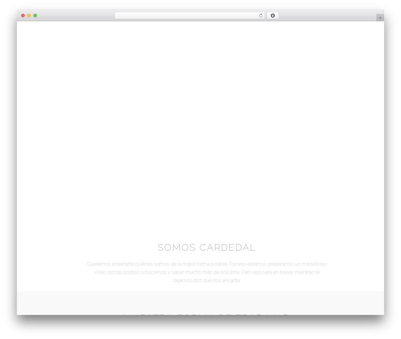 Constructor best WordPress theme - cardedal.es Constructor best WordPress theme - cardedal.es
